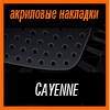   3D SPORTS PLATE  CAYENNE 2004