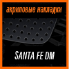   3D SPORTS PLATE  SANTA FE DM 2012