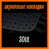   3D SPORTS PLATE  SOUL 2009